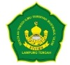 Logo INSIBU